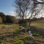 Aldo Countryside Arzachena