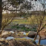 Aldo Countryside 4*