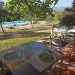 Aldo Countryside
