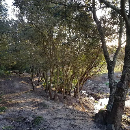 Aldo Countryside 4*
