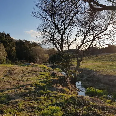 Aldo Countryside Arzachena