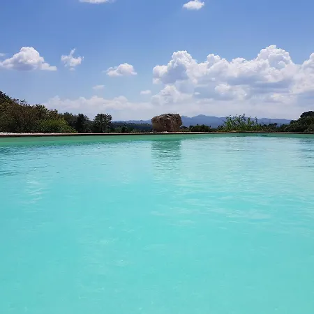 Aldo Countryside *