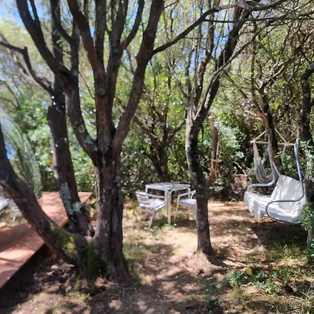 Alojamento de Acomodação e Pequeno-almoço Aldo Countryside